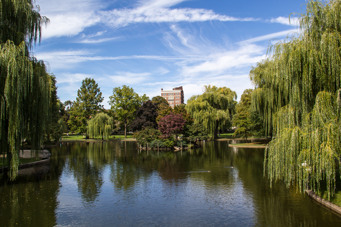 Public Garden